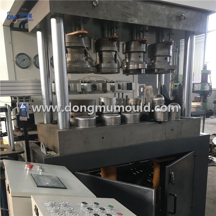 Multi-station Stamping Die